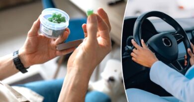 Cannabis edibles impair driving even when THC blood tests are low