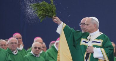Pope Leo XIV visits Lourdes and meets with miracle cure recipients