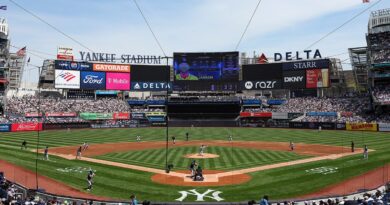 NYC orders cleanup of Yankee Stadium cooling towers over Legionella