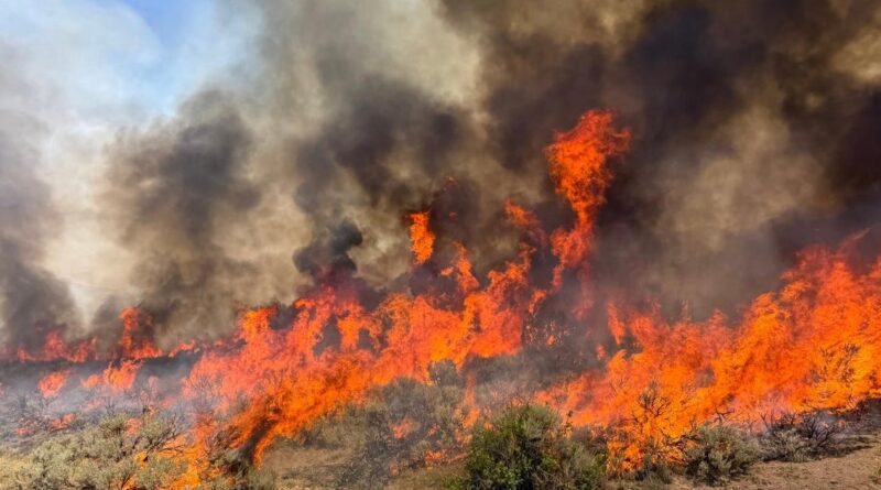 Climate change pushed Earth to its limits in 2026 as certain “vital signs” reach record extremes, report says