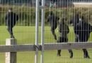 Celtic fans launch bizarre protest at golf event as tennis balls thrown onto course