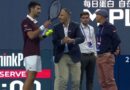 Novak Djokovic defends Daniil Medvedev after tennis star disqualified for hitting fan