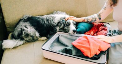 Seven dog breeds that suffer most from separation anxiety and being left alone