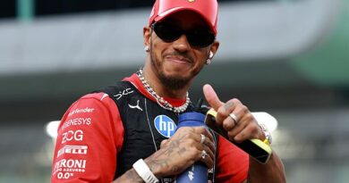 Lewis Hamilton wish granted as F1 confirm return to Africa with 10-year deal