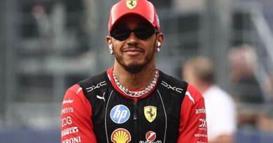 F1 chiefs slammed after major announcement finally hands Lewis Hamilton what he wants