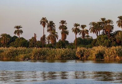 Ancient Egypt breakthrough as huge 'royal' discoveries made by farmer in tiny village