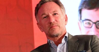 Christian Horner told he's 'the perfect guy' as F1 project looking for a new leader