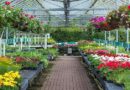 Beloved UK garden centre closes permanently after 40 years due to financial pressures