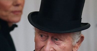 'I'm a big royalist but King Charles should not be on the throne – he should step aside'