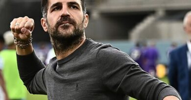 Cesc Fabregas has been given Man Utd green light as he refuses Michael Carrick question