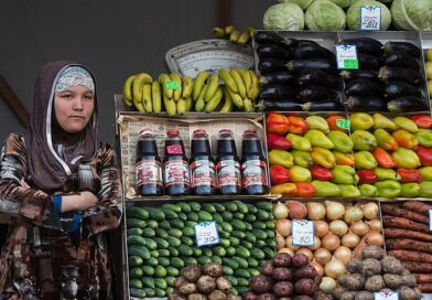 Migrants banned from four jobs in major city