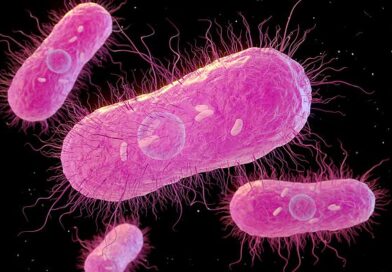 Horror as 27 people sick after outbreak of deadly bacteria – 5 in hospital