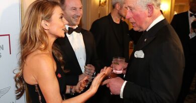Christian Horner confirms Geri Halliwell broke royal protocol when meeting King Charles