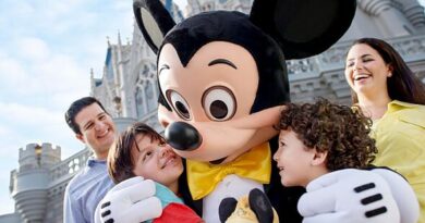Disney fans urged to register now for early Black Friday theme park deals