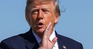 Donald Trump's power to cancel two F1 races as US president risks costing teams £134m