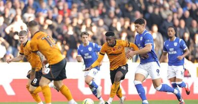 Championship match halted for serious incident after 28 minutes as players scream for help