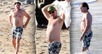 Leonardo DiCaprio ‘dad bod’ photos spark visceral fat health debate