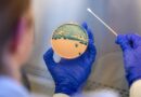 Shigella antibiotic resistance rising as drug-resistant strains grow